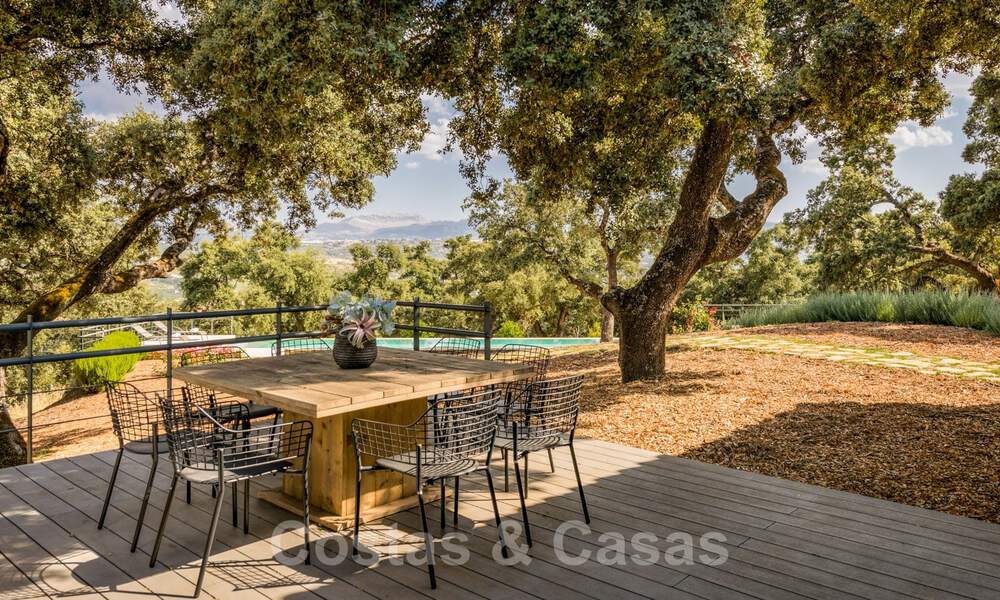 Vineyard – country estate with a modern style villa for sale near Ronda in Andalusia 29158