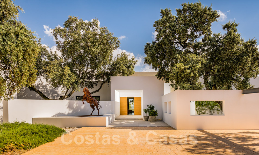 Vineyard – country estate with a modern style villa for sale near Ronda in Andalusia 29161