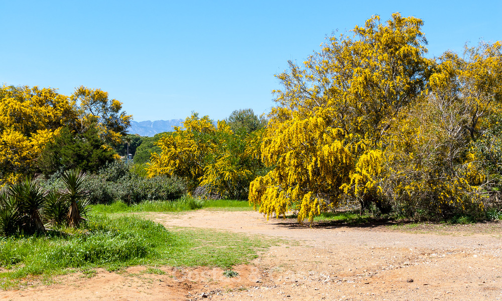 Charming Spanish luxury villa for sale surrounded by natural beauty and bordering the dunes beach in Marbella 49714