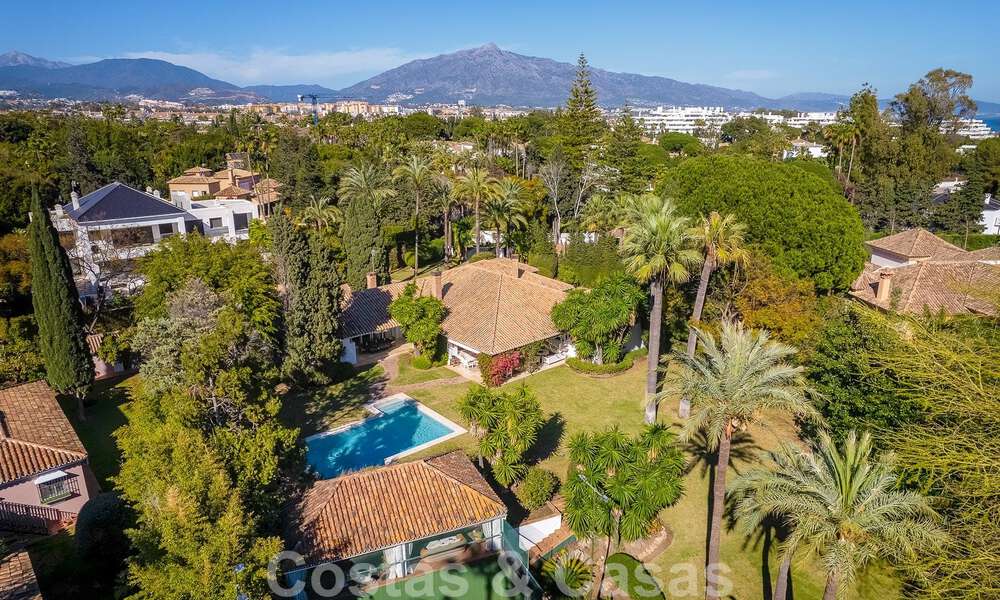 Detached Mediterranean-style luxury villa for sale a stone's throw from the beach and amenities in prestigious Guadalmina Baja in Marbella 51282
