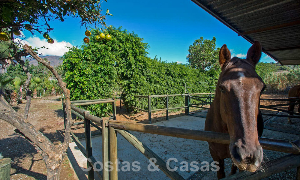 Finca with stables for sale a short distance from Estepona centre, Costa del Sol 61063