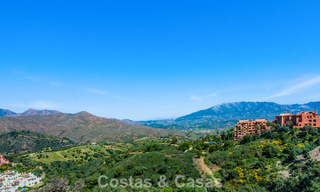 Spacious villa with a modern Mediterranean style for sale east of Marbella centre 779846 