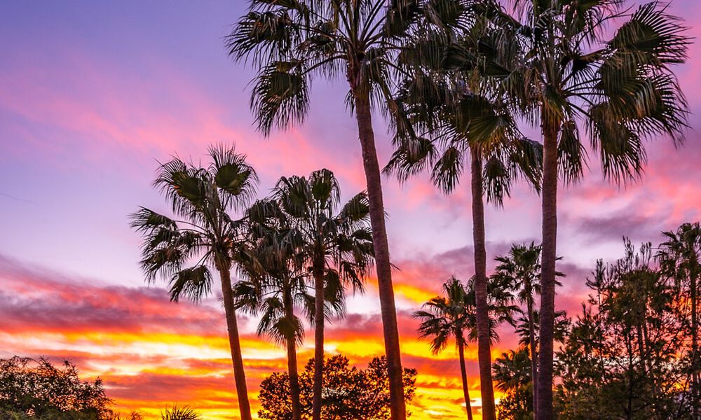 Exclusive frontline beach apartment with panoramic sea views for sale in Estepona town centre 795954