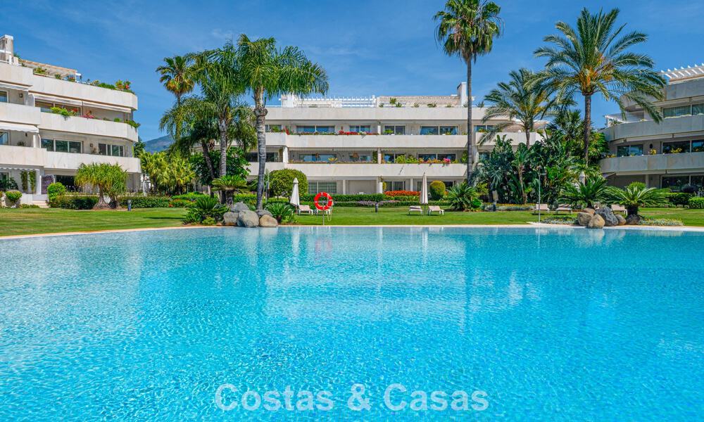 High-end duplex penthouse for sale in a highly sought-after golf complex in Nueva Andalucía, Marbella 801008