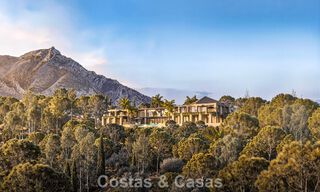 Luxury total renovation project with private peninsula and panoramic lake views in Istán, Marbella 805852 